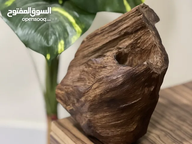 نوادر العود