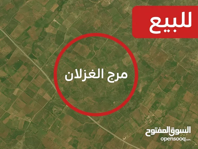 � أراضٍ للبيع في مرج الغزلان – قرب حاجز مزموريا (5 دقائق فقط)