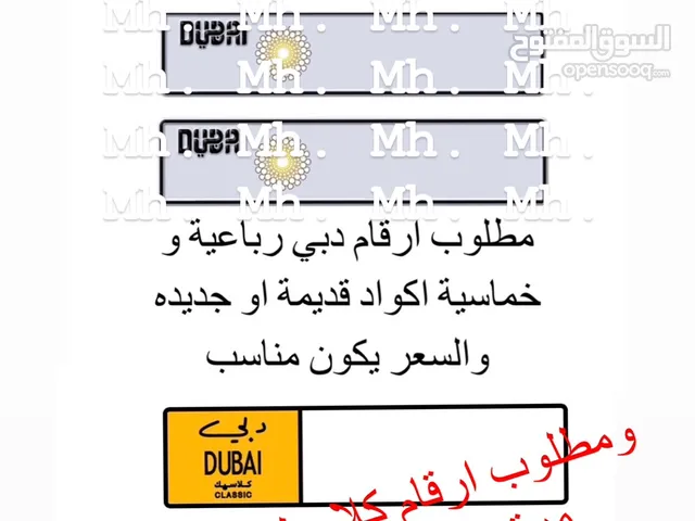 مطلوب رقم دبي كلاسيك وخصوصي
