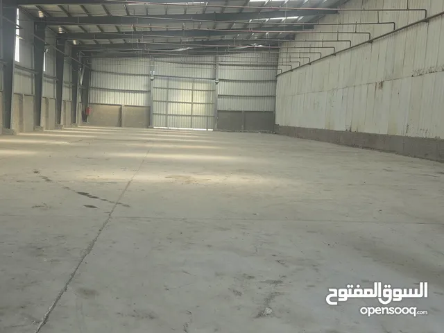 مصنع للبيع نشاط كيماويات برج العرب الجديدة