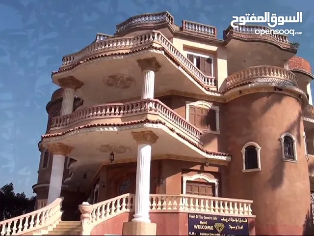 875 m2 More than 6 bedrooms Villa for Sale in Giza Mansuriyya