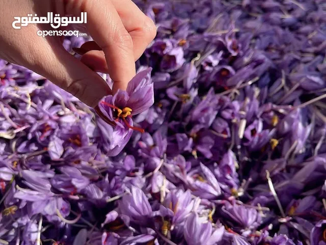 بدأ عرض الزعفران المميز!-The Special Saffron Sale Has Beg