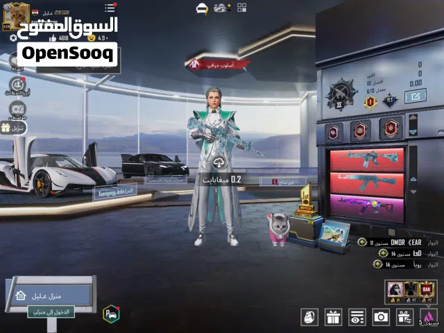 Pubg Accounts and Characters for Sale in Basra