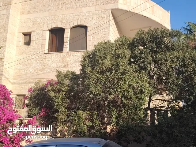 ؛شقه مستقله للاجار الزرقا الجديده شارع الفلاتر شارع البتراوي خلف مسجد عمر بن العاص