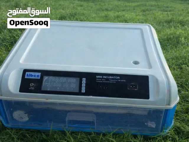 فقاصه ربي ايبارك