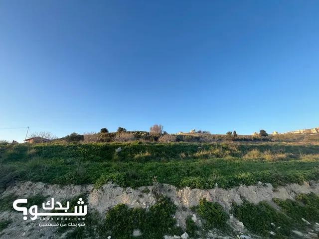 Mixed Use Land for Sale in Nablus Tal Village