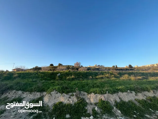 Mixed Use Land for Sale in Nablus Tal Village
