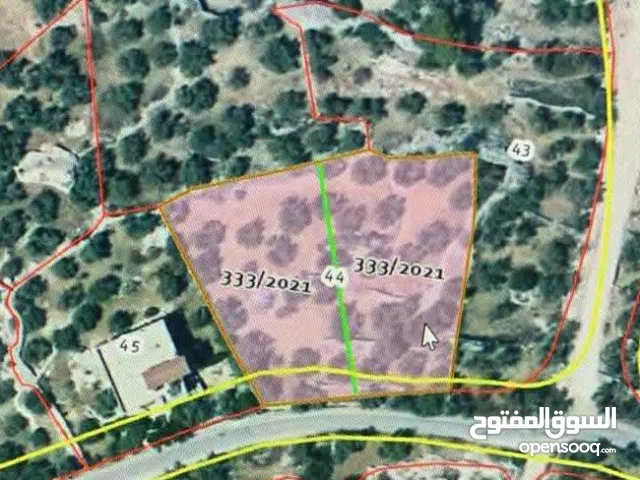 ارض لقطة للبيع بدواعي السف