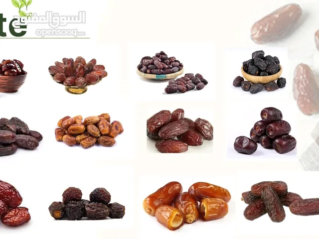 شركة صدرا تجارت رائيكا: شريكك التجاري في المواد الغذائية والتمور/توفر لدينا جميع أنواع التمور