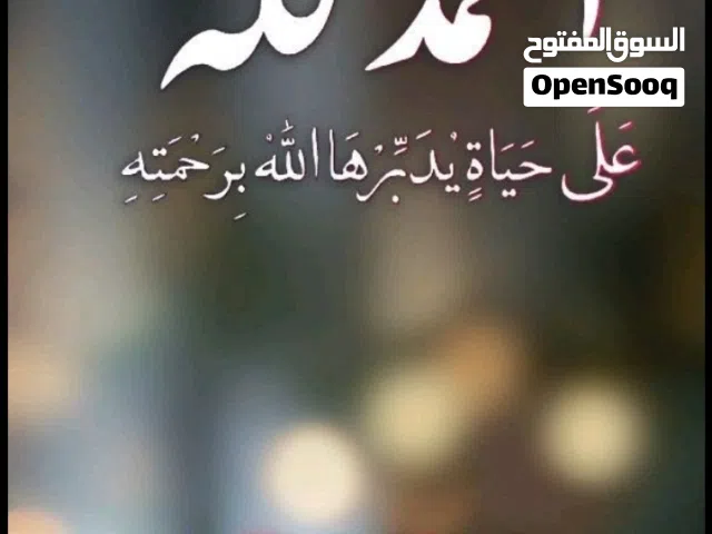 يوجد لدينا شركه معدات ثقيله بالسبيل ويوجد عندنا شركه مقاولات ويوجد لدينا شركه مواد غذائيه بالسبل