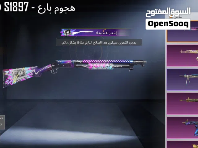 Pubg Accounts and Characters for Sale in Basra