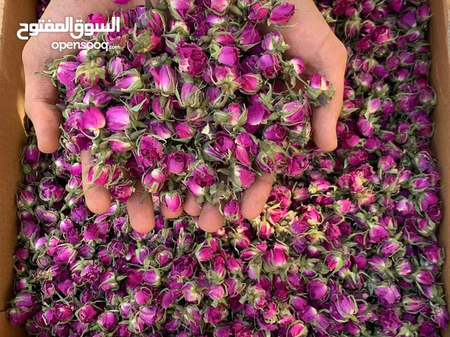 إعلان مميز: براعم ورد محمدي إيراني فاخر – طبيعي 100٪