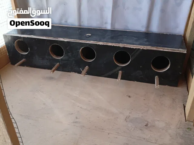 قفص عصافير للبيع