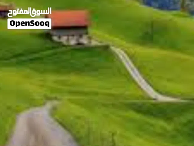 Farm Land for Sale in Tripoli Wadi Al-Rabi