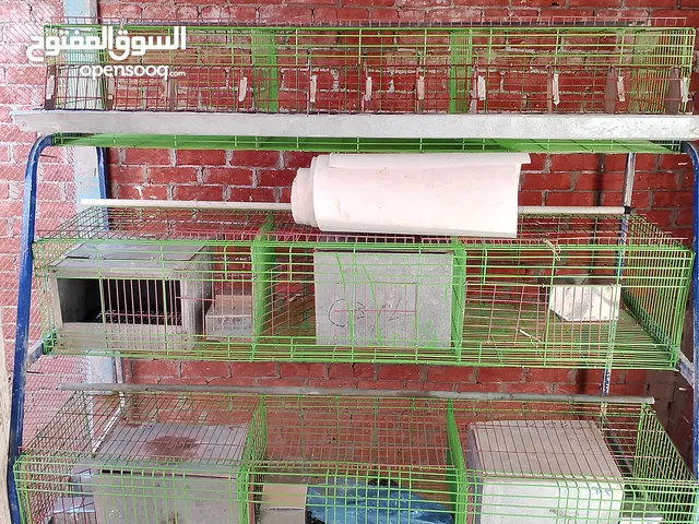 بطاريه ارانب نص هرمي