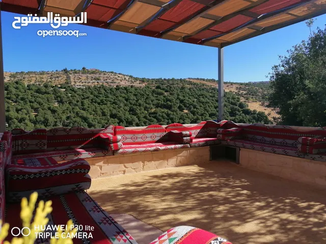 3 Bedrooms Farms for Sale in Jerash Sakib