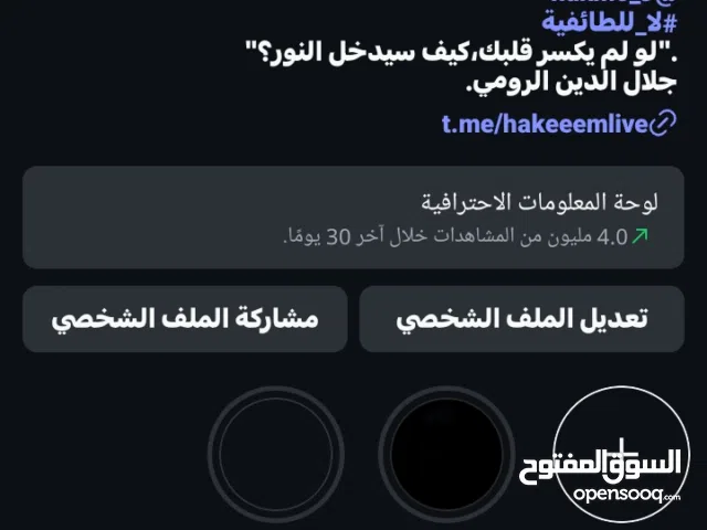 Social Media Accounts and Characters for Sale in Amman