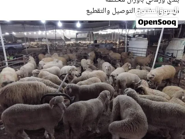 لحام متنقل