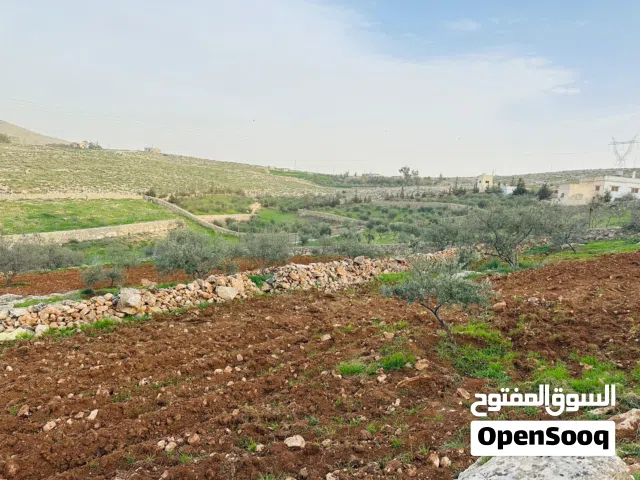 Farm Land for Sale in Mafraq Bala'ama