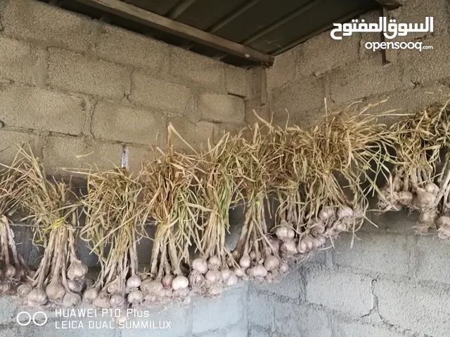ثوم عماني للبيع