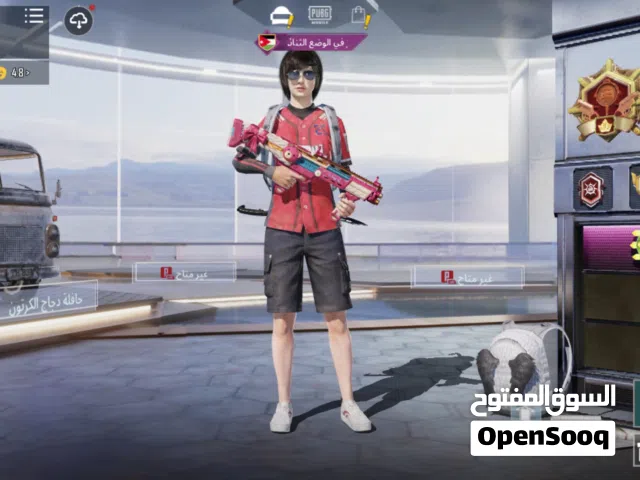 Pubg Accounts and Characters for Sale in Ramtha