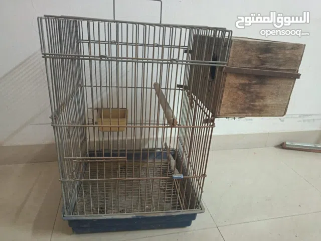 بيت طيور وسط