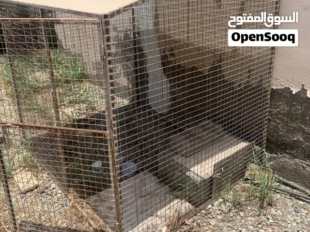 قفص للطيور او الارانب
