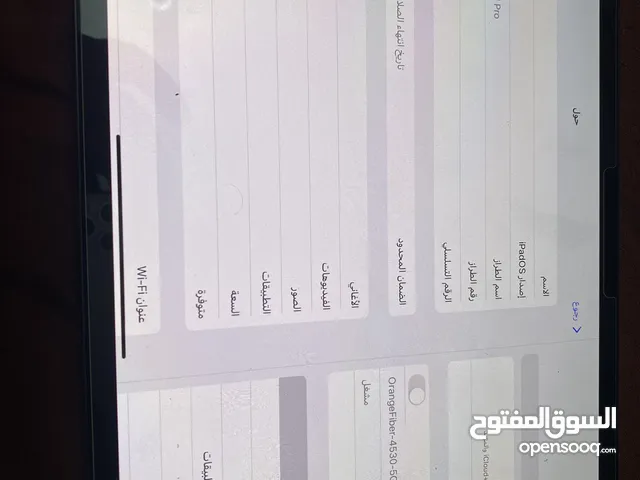 Apple iPad Pro 256 GB in Zarqa