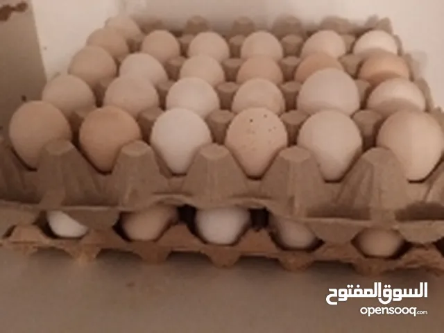 بيض دجاج عربي