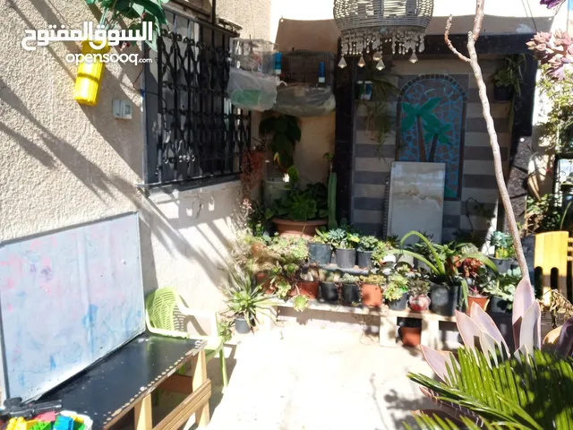 شقتين بسعر مغري  كوشان واحد