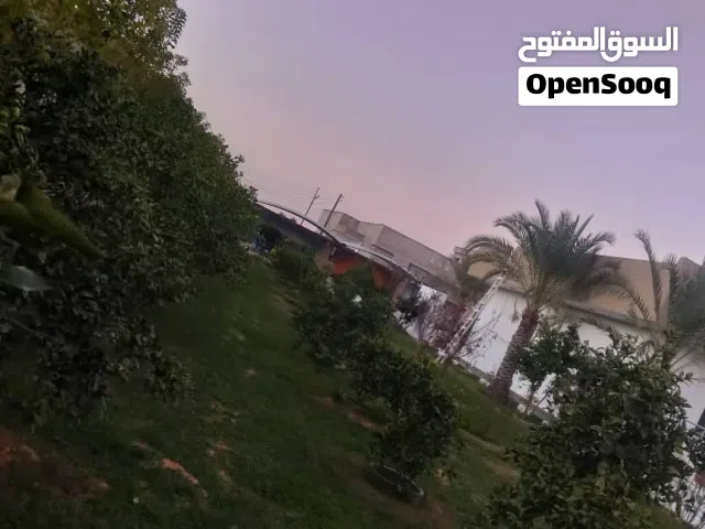 100 m2 Studio Townhouse for Rent in Tripoli Tajura