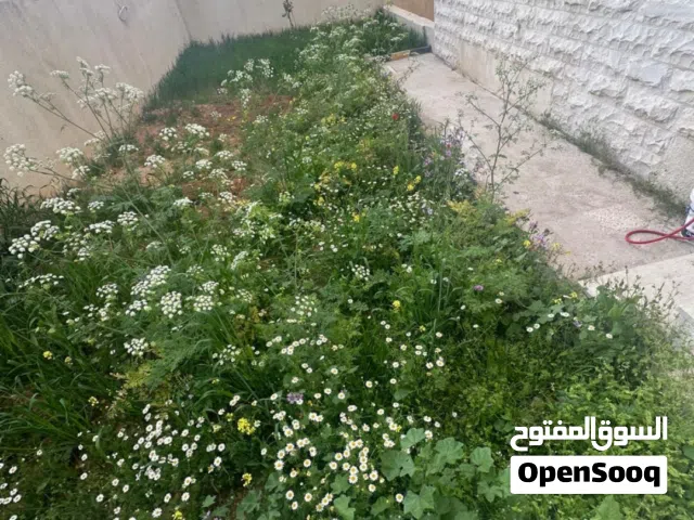 شقه فارغه للايجار ضاحيه الرشيد ارضي مع حديقه مدخل مستقل