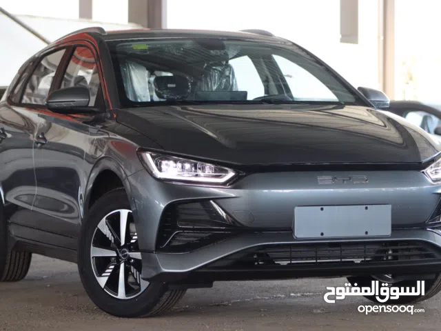 2025 بي واي دي E2