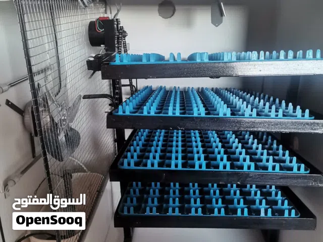 بسعر حررررررررق فقاسه اوسكار