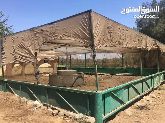 مزرعة للبيع طريق مصر الاسكندرية الصحراوى