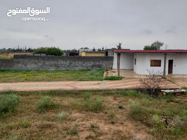 1 Bedroom Farms for Sale in Tripoli Tajura