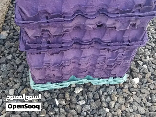 للبيع كراتين بيض الكرتون بميتين بيسه الموقع عبري لتواصل على الخاص