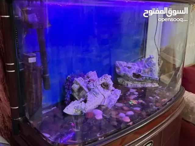 حوض سمك مستورد كبير