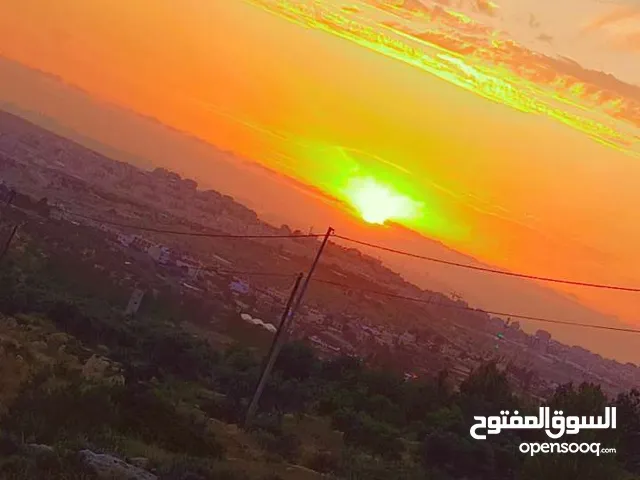 زينب ابراهيم حسن عبد القادر