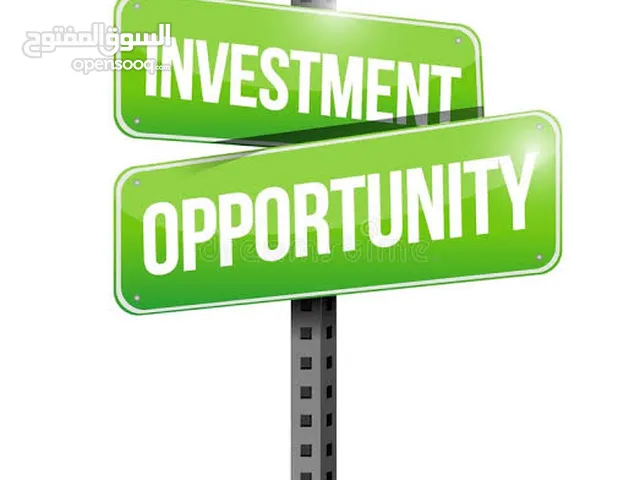 We are looking for a serious investor