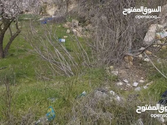ارض للبيع من المالك مباشرة