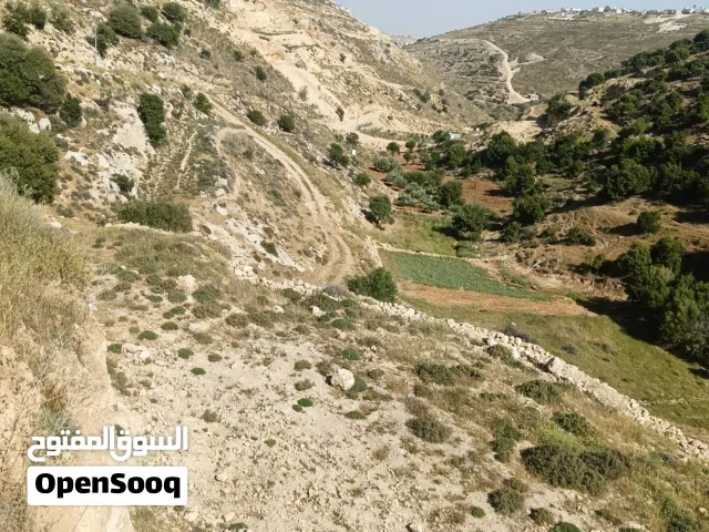 Mixed Use Land for Sale in Bethlehem Abu Nujaym