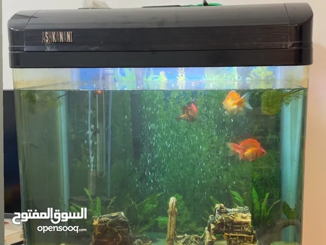 حوض سمك زراعي