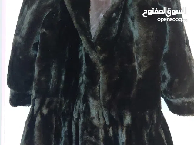 كبوت فرو فخم جدا