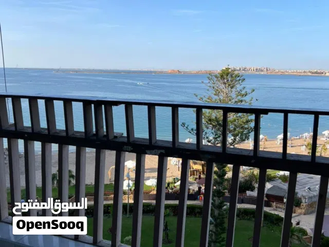 Furnished Daily in Alexandria Maamoura