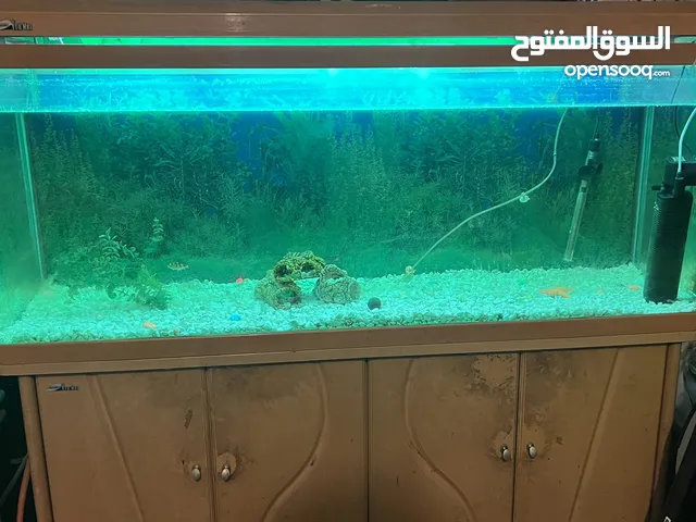 Big tank use Sal  For sale