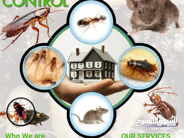 خدمة مكافحة حشرات الصراصير والقوارض والفئران بالرماح بمسقط شركة مكافحة الحشرات