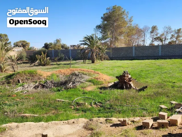 ارض 2500 متر للبيع في منطقة الهواري قريبه من بوابة الطلحية