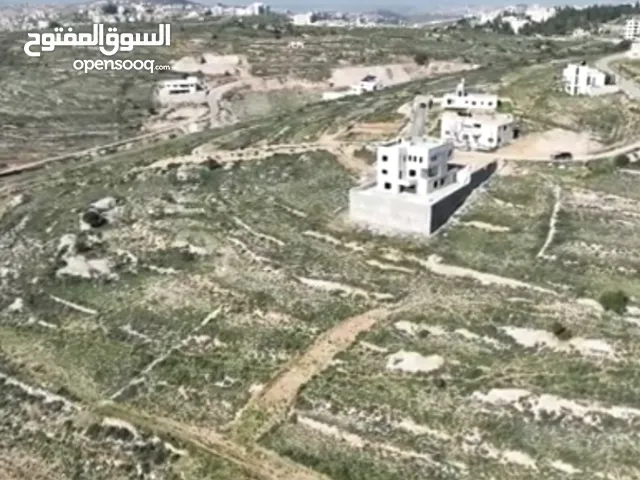 ارض للبيع رام الله ابو قش فوق ضاحية الغدير