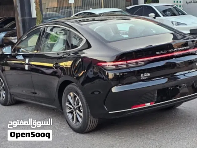 2025 BYD Destroyer 05
